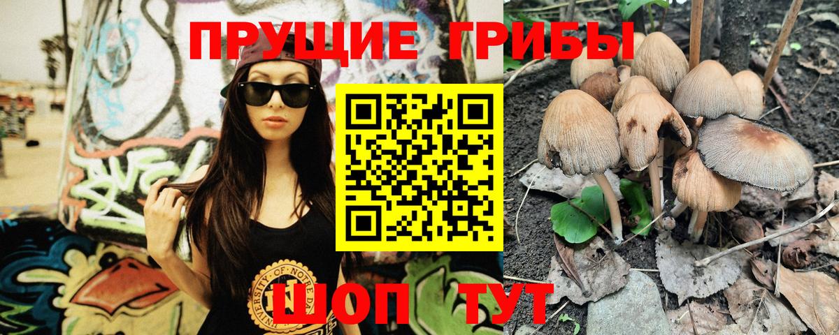 Галлюциногенные грибы Cubensis  Вход с VPN  Гурьевск 