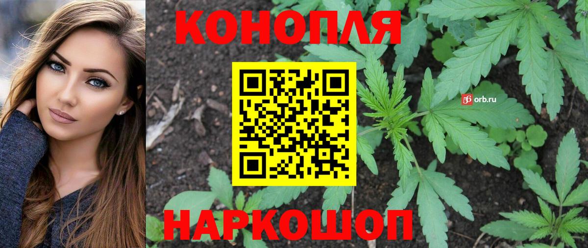 Бошки марихуана марихуана Гурьевск